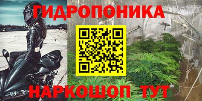 бошки Краснознаменск
